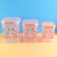 Kitchen Bloom Airtight Storage Set (3 Pcs)